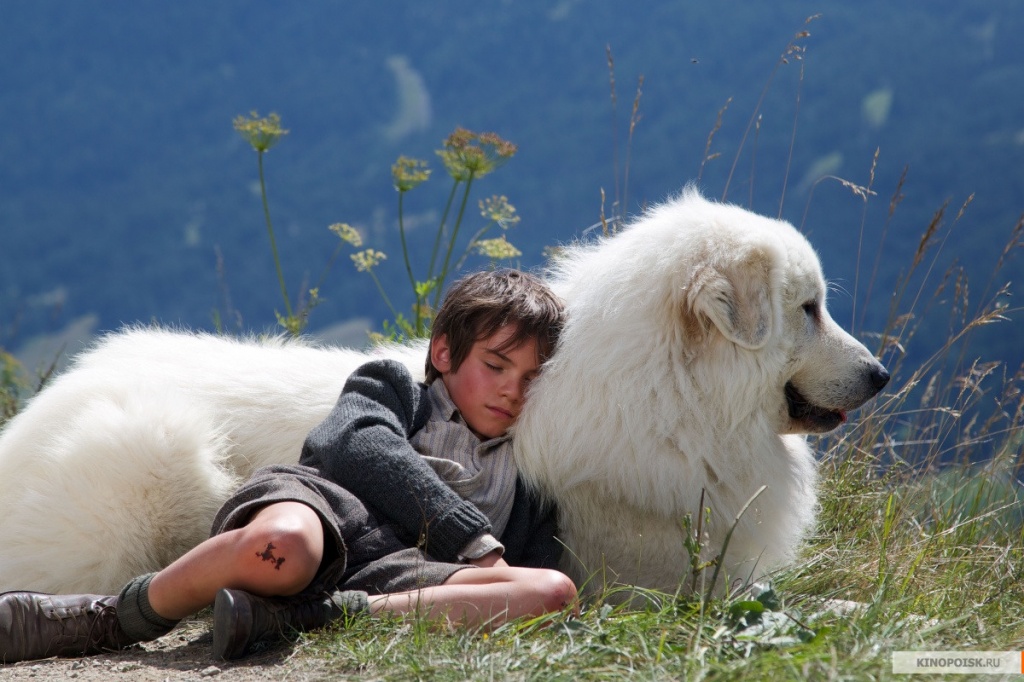 kinopoisk.ru-Belle-et-S_26eacute_3Bbastien_2C-l_27aventure-continue-2646801.jpg